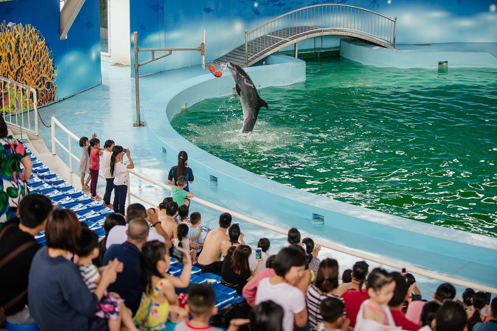 Giới hạn 1000 vé bán ra trong ngày đầu tiên mở cửa trở lại Công viên biển Hà Nội - Ảnh 5.
