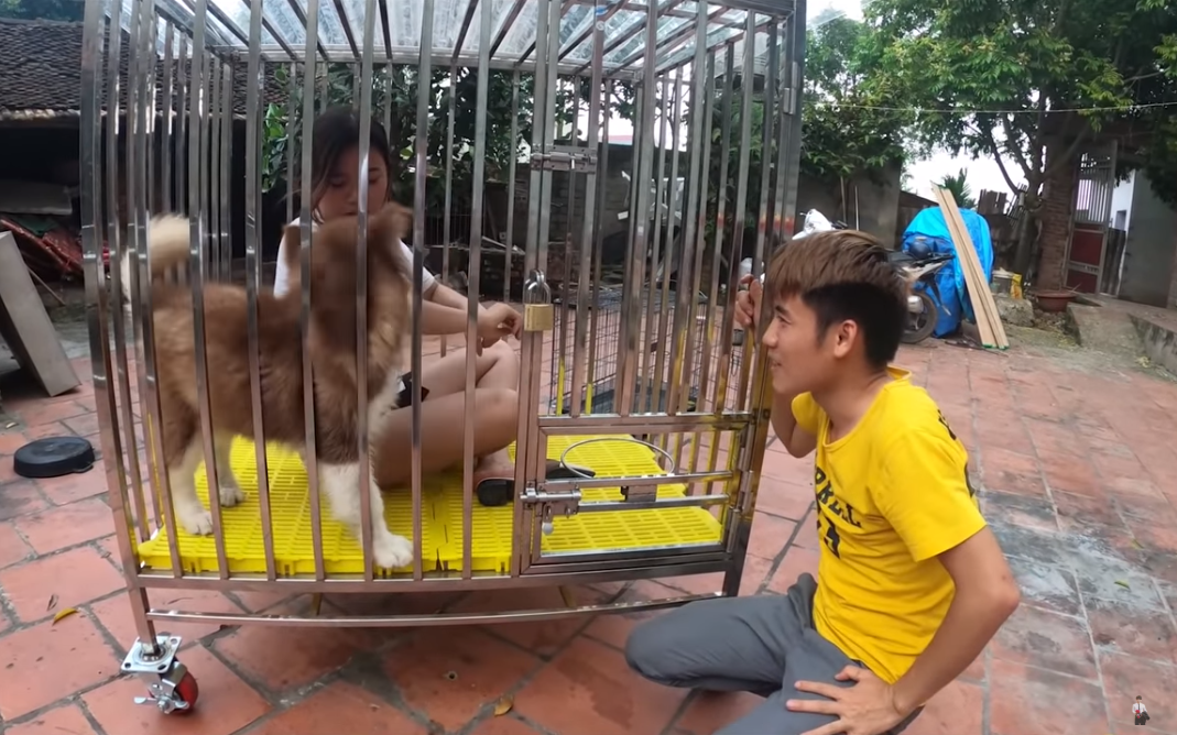 Con trai Bà Tân Vlog gây tranh cãi dữ dội khi nhốt em gái vào chuồng chó để trả thù