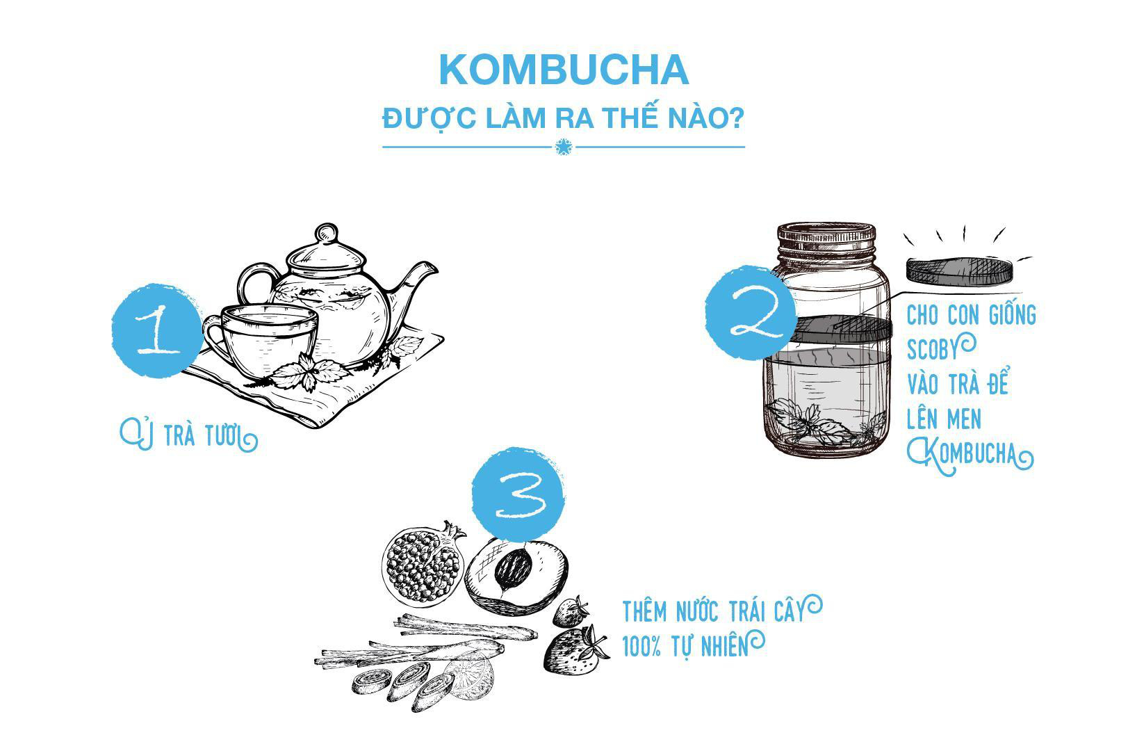 Bạn biết gì về trà “bất tử” Kombucha? - Ảnh 5.