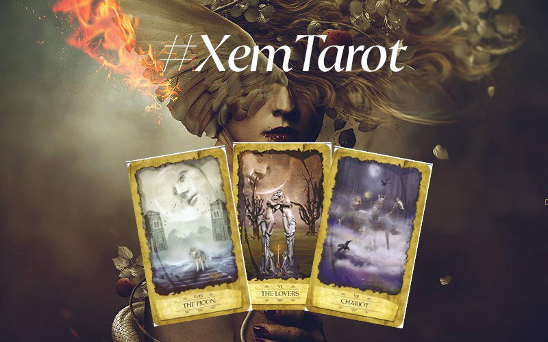 Bốc 3 lá bài Tarot để biết từ giờ đến hết năm 2020, chuyện tình yêu của bạn sẽ thăng hoa hạnh phúc hay ảm đạm u sầu