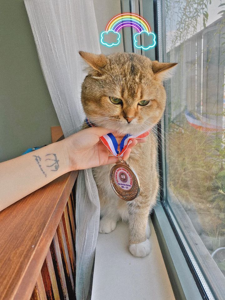 Linh Ngọc Đàm có gần chục hình xăm, nhưng nhìn chẳng thấy phô phang "hổ báo" mà còn hút mắt vô cùng - Ảnh 3.