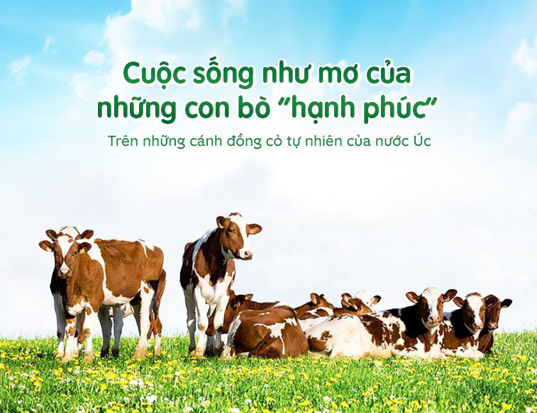 Nuôi con chuẩn tự nhiên thời hiện đại 4.0: Sữa hữu cơ ngày càng được nhiều bậc cha mẹ quan tâm, đầu tư hơn cho con mình - Ảnh 1.