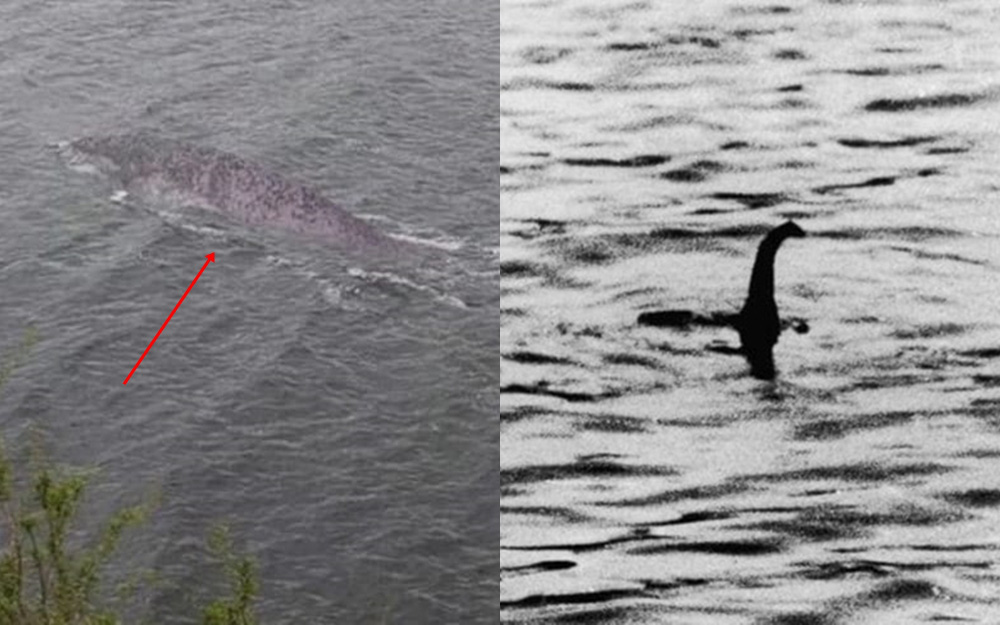Xem ảnh chụp trong chuyến đi năm ngoái, người đàn ông phát hiện sinh vật lạ nên đăng đàn hỏi, MXH "dậy sóng" tin rằng đó là quái vật hồ Loch Ness