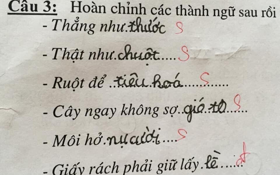 "Cười chảy nước mắt" với bài tập tiếng Việt của học sinh tiểu học, toàn những gương mặt vàng trong làng múa bút đặt câu