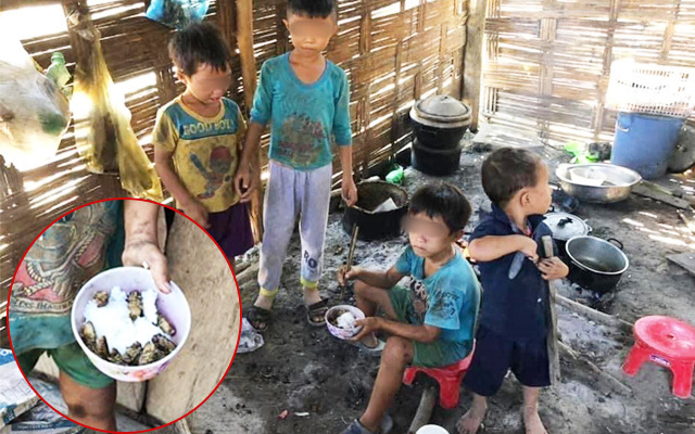 Đằng sau hình ảnh những đứa trẻ ăn cơm nguội với ve sầu:  Hoàn cảnh vô cùng khó khăn, từ bé tới giờ không biết cái kẹo tròn méo ra sao