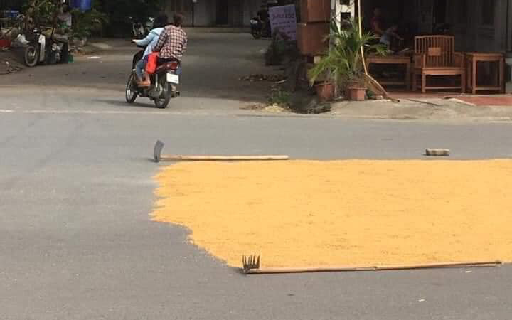 Phơi thóc ngoài đường, còn đặt "bẫy đinh" bảo vệ khiến cộng đồng thở dài ngao ngán