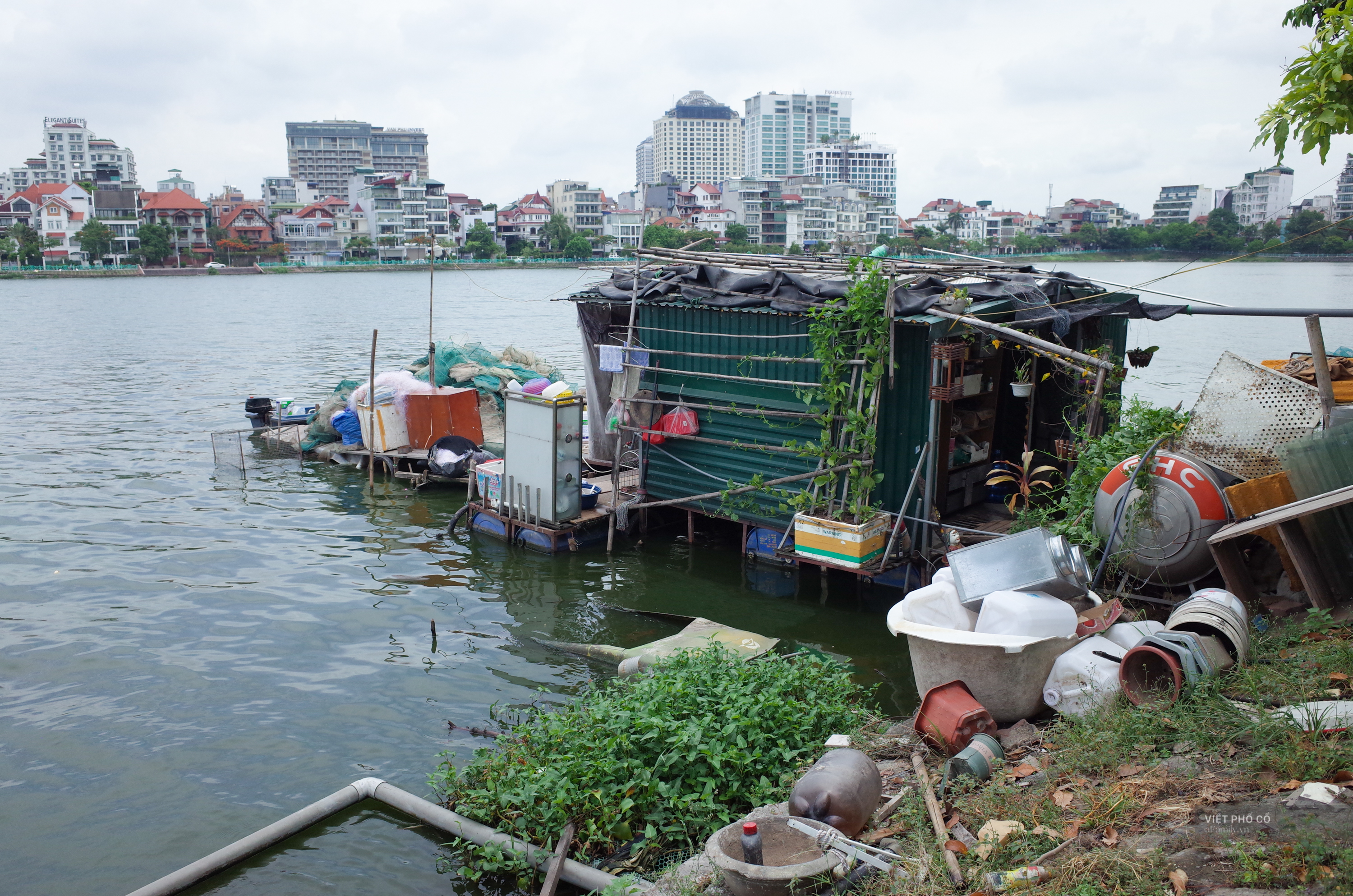 Hồ Tây ngập rác bốc mùi hôi thối - Ảnh 8.