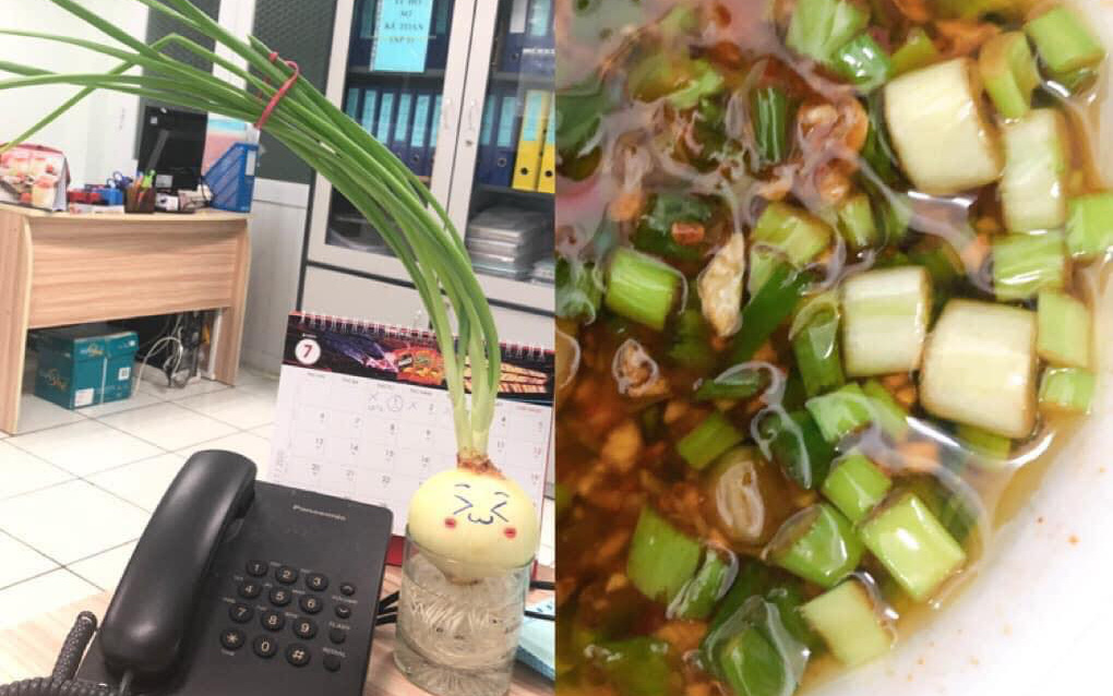 Cô nàng theo trend trồng hành tây để bàn như phim Hàn và cái kết bất ngờ khiến dân mạng sững sờ nhận ra chân lý: Có thực mới vực được... lãng mạn