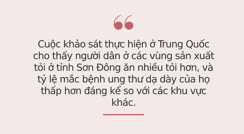 Tế bào ung thư sẽ rất "sợ" nếu biết bạn ăn 6 loại rau củ này mỗi ngày: Tất cả đều ngon lành, có bán ở khắp chợ, bạn bỏ qua sẽ rất phí! - Ảnh 3.