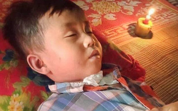Bé trai 6 tuổi tử vong sau khi bị hàng trăm con ong bắp cày tấn công trong khi tỉa cây cùng bà ngoại