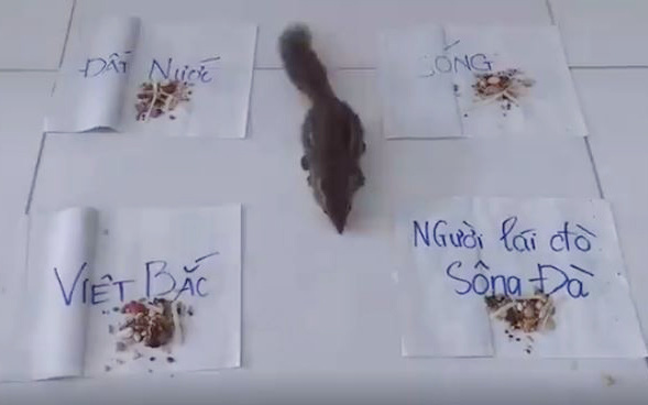 Bá đạo như học sinh thời nay: Thi tốt nghiệp mà lôi cả "nhà tiên tri" ra đoán đề Văn, nhưng nhận kết quả xong càng hoang mang