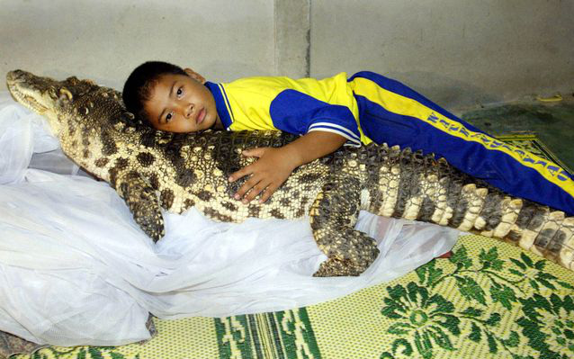 Đứa trẻ ôm ấp "bé" cá sấu mà mặt thản nhiên như không có gì và hàng loạt thể loại thú cưng không phải ai cũng dám nuôi
