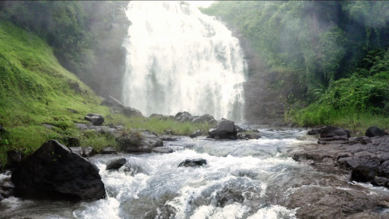 Sữa bò tươi sản xuất tại Việt Nam đạt chuẩn thế giới nhờ các yếu tố này đây! - Ảnh 4.