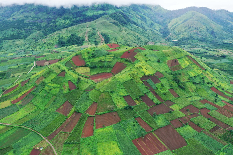 Sữa bò tươi sản xuất tại Việt Nam đạt chuẩn thế giới nhờ các yếu tố này đây! - Ảnh 5.