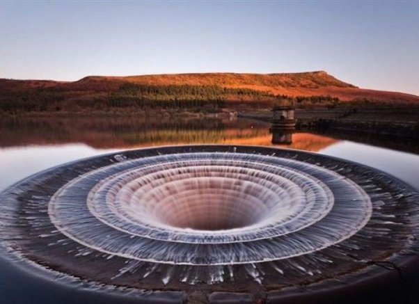 Chú mèo 2 đầu trông như photoshop nhưng khiến nhân loại há hốc với khả năng sống sót và loạt sự vụ có thật nhưng ai cũng nghĩ là đồ "pha ke" - Ảnh 9.