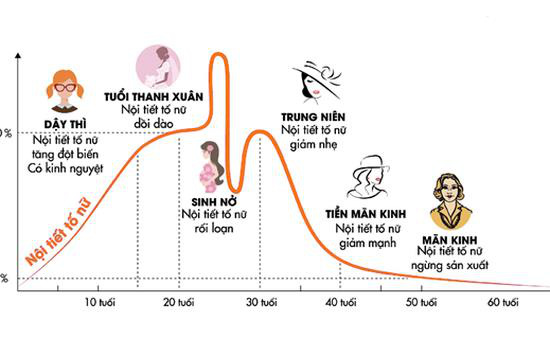 Làm sao để bổ sung estrogen đúng và đủ? - Ảnh 1.