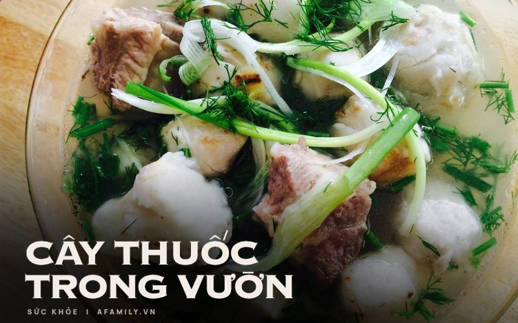 Mùa đông phải ăn ngay loại củ này để "hút" mỡ bụng, chuyên gia Đông y còn tiết lộ thêm nhiều điều bất ngờ