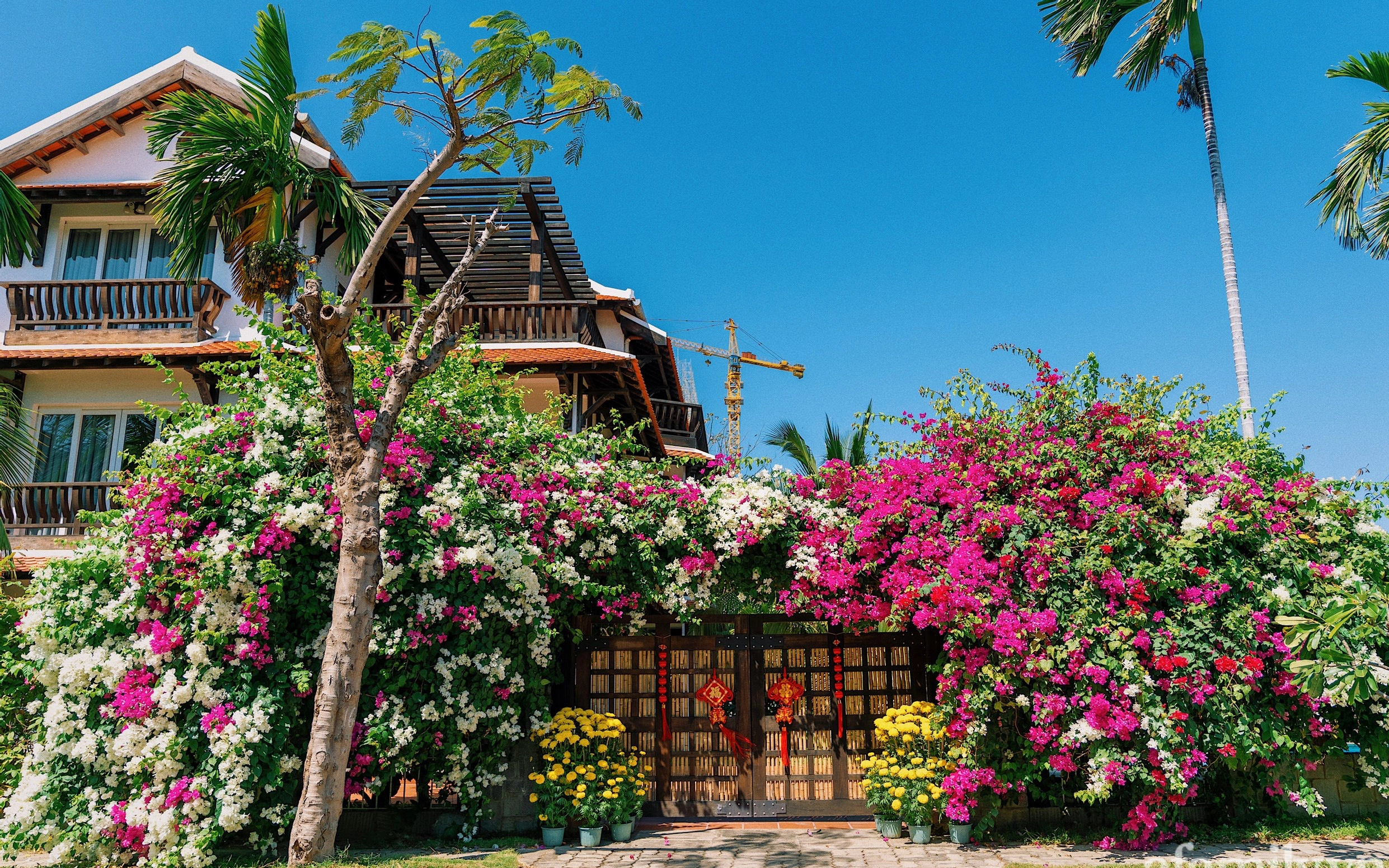 Căn nhà vườn xây 10 năm vẫn đẹp hút mắt với nội thất gỗ và cây xanh quanh nhà ở Nha Trang