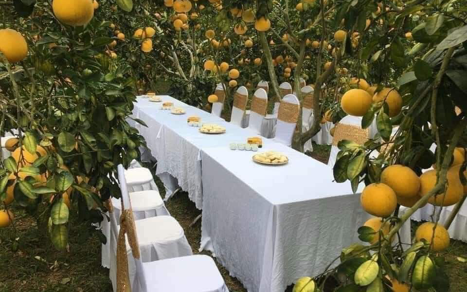 Bàn tiệc cưới bày giữa vườn trái cây ở miền Tây gây xôn xao khắp mạng xã hội, nhiều người gợi ý nên mang theo thứ đặc biệt này khi đến dự