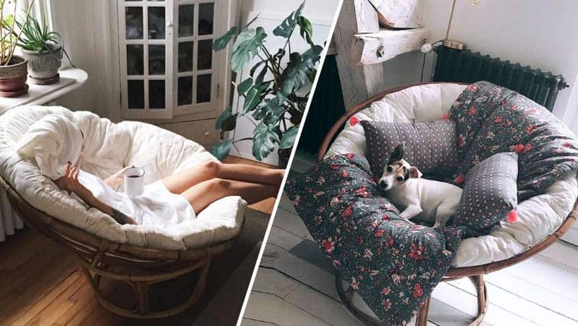 Những điều bạn nhất định phải biết trước khi mua ghế thư giãn papasan - Ảnh 3.