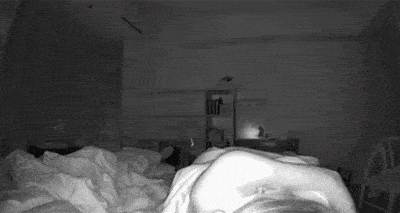 Thức dậy bỗng dưng thấy cả người đau nhức, cô gái vội kiểm tra camera mới ngỡ ngàng nhận ra mình bị mèo cưng "trừng phạt" cả đêm - Ảnh 11.