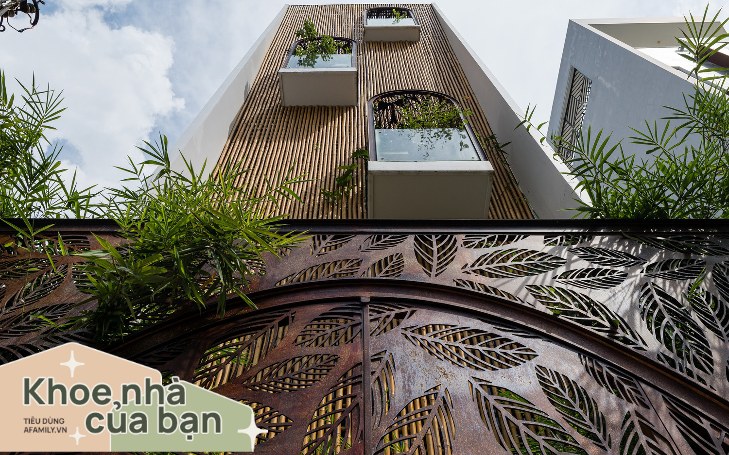 Nhà tổ chim 48m² bước qua "ranh giới" nhà phố tạo nên không gian bình lặng, ấm áp giữa Sài Gòn hoa lệ