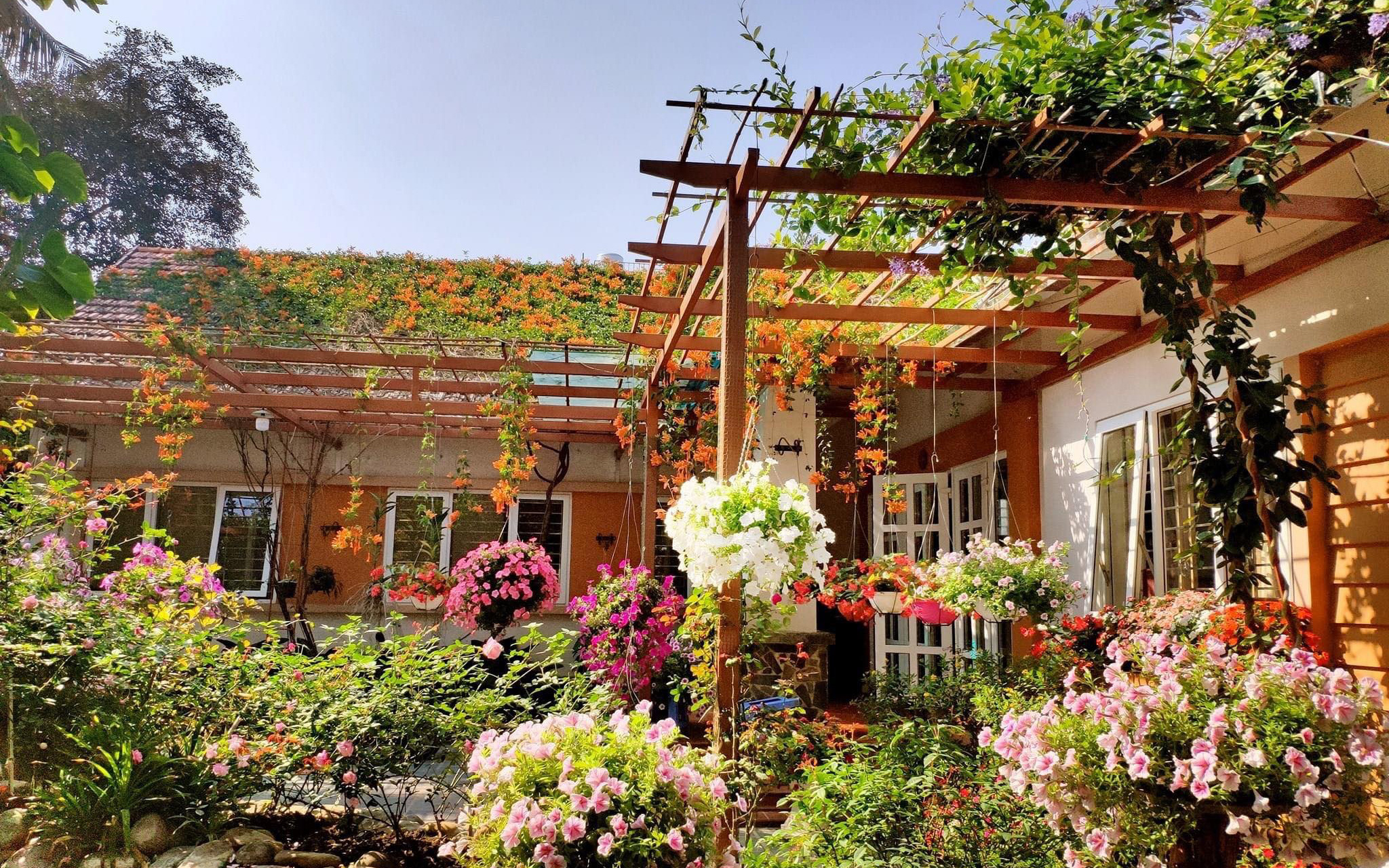 Căn nhà vườn vạn người mơ ước của người chồng chăm chỉ cuốc đất cho vợ phủ kín hoa ở TP. Điện Biên