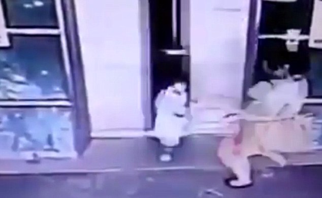 Khoảnh khắc người phụ nữ giơ chân đá bay bé gái ngã dúi dụi tưởng hành động mất nhân tính, biết được sự thật phía sau dân mạng khen ngợi hết lời vì nhanh trí - Ảnh 3.