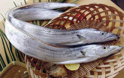 Khi đi chợ, người thông minh thấy 4 loại cá này sẽ mua ngay vì chúng 100% đánh bắt tự nhiên, vừa thơm ngon lại cực kỳ bổ dưỡng