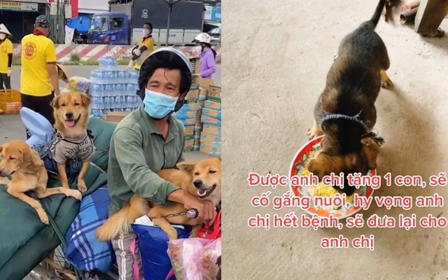 Còn 1 bé cún may mắn trong vụ 15 chú chó bị tiêu hủy - Được ông bà chủ tặng cho tình nguyện viên tại Long An?