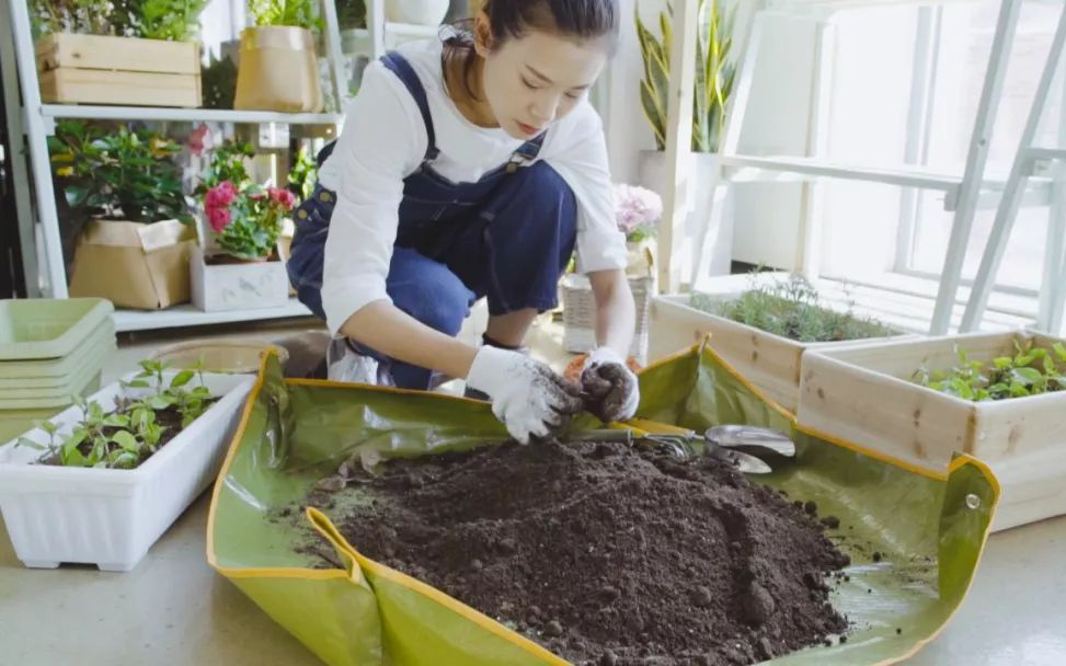 Cô gái trẻ tự tạo một vườn rau gia vị xanh tốt trong bếp chỉ với vài bước đơn giản