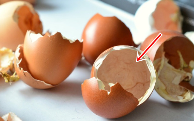 9 cách tận dụng vỏ trứng vô cùng hiệu quả cho việc làm vườn