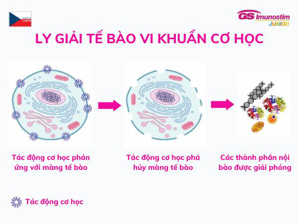 Bí quyết chăm sóc trẻ để viêm hô hấp không tái đi tái lại - Ảnh 4.