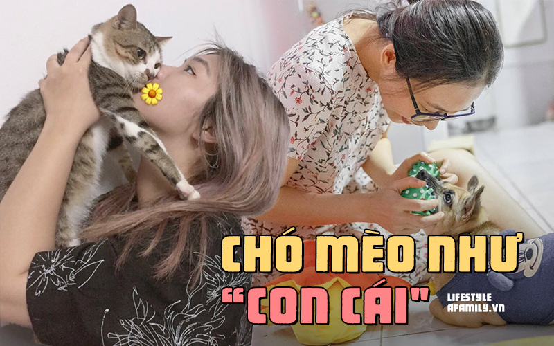 Có vô số điều &quot;khó hiểu&quot; mà chỉ những người xem chó mèo là &quot;con cái&quot; mới có thể làm được!