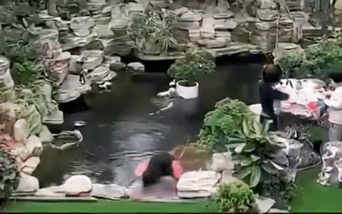 Bé trai trượt ngã xuống hồ cá cảnh, nhờ 2 bé gái ở gần xử trí thông minh nên thoát chết trong gang tấc