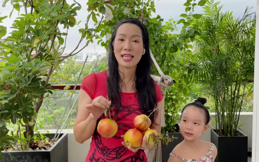 Trịnh Kim Chi khoe tài trồng rau trái cực mát tay: Toàn cây nhỏ xíu mà sai quả hái không xuể