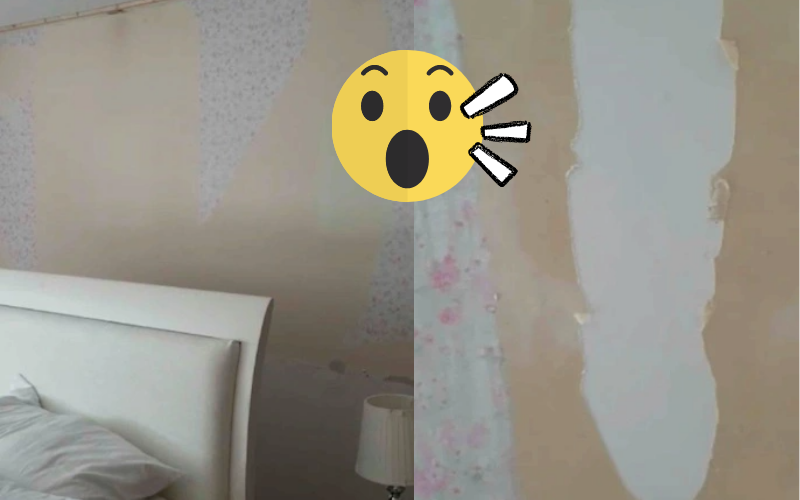 Cô gái ở Pháp mách sản phẩm giá chỉ 21k nhưng giúp loại bỏ sạch sẽ lớp giấy dán đã bám lâu năm trên tường