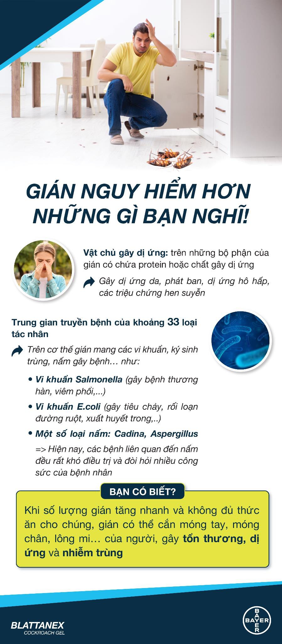 Bạn đã biết: Giải pháp diệt gián có thể loại bỏ cả đàn, chỉ với một giọt nhỏ? Xem và thử ngay để tiểu cường hết đường trốn chạy! - Ảnh 1.