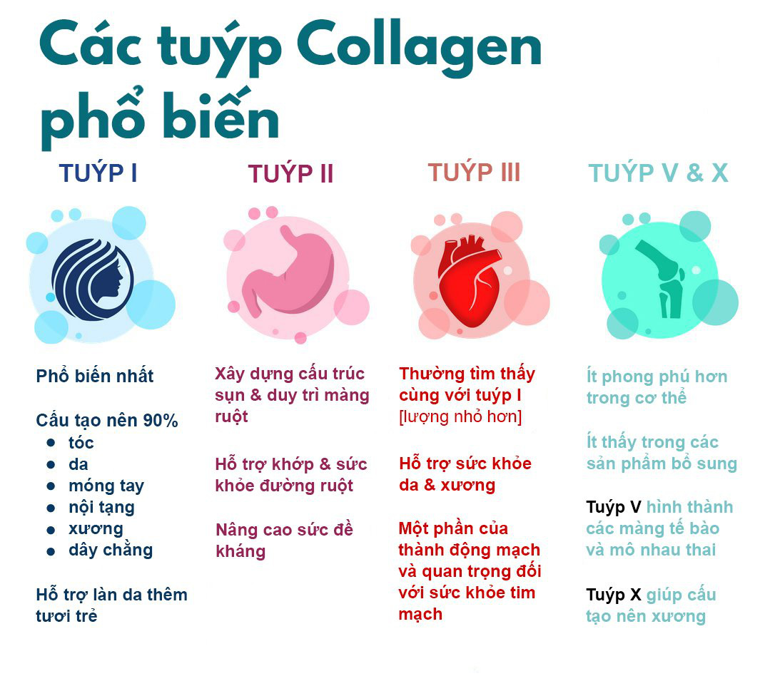 Thuộc lòng 5 quy tắc sau để mua được đúng loại collagen thực sự hợp với mình bạn nhé! - Ảnh 4.