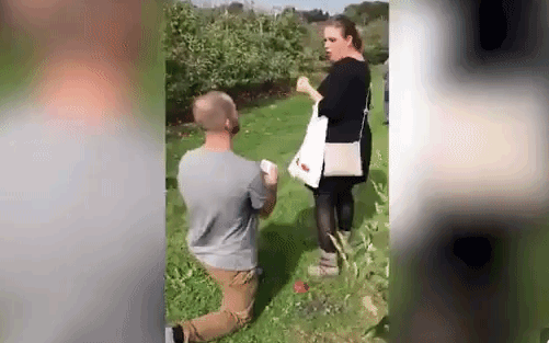 Quỳ xuống cầu hôn bạn gái giữa vườn táo, chàng trai bị ném thẳng quả táo vào mặt, kết cục sau đó khiến tất cả ngỡ ngàng