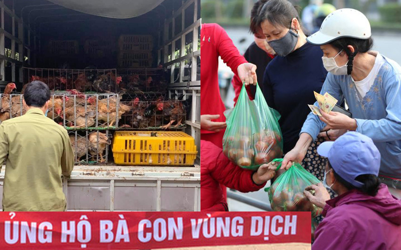 Hà Nội: Tấp nập địa chỉ online rao bán thịt trứng với giá "giải cứu" cùng hàng loạt mặt hàng nông sản, hoa quả và hoa tươi 