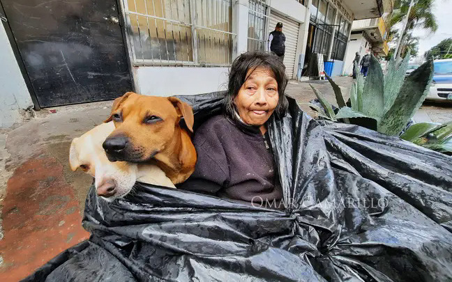 Bà lão kiên quyết sống cùng 6 con chó trong túi rác vì lí do đặc biệt và cái kết ngọt ngào khiến ai nghe cũng cảm động