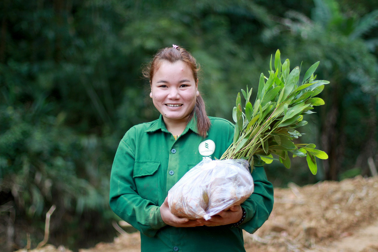 Trồng hàng ngàn cây xanh trên đất Quảng Nam để bảo vệ môi trường - Ảnh 3.