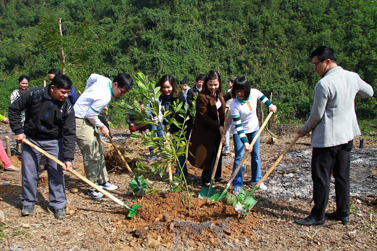 Trồng hàng ngàn cây xanh trên đất Quảng Nam để bảo vệ môi trường - Ảnh 5.