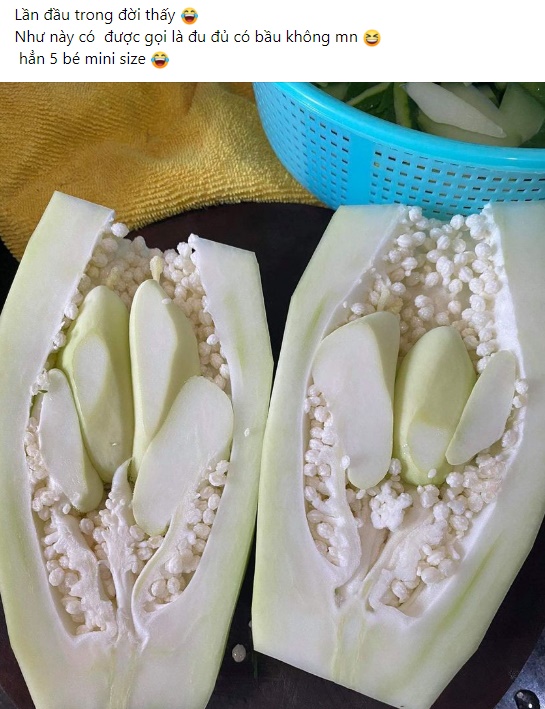 Quả đu đủ "mang bầu" 5 trái mini bên trong khiến dân mạng bất ngờ, nhiều người đùa hay là có mộng giống quả dừa!? - Ảnh 1.