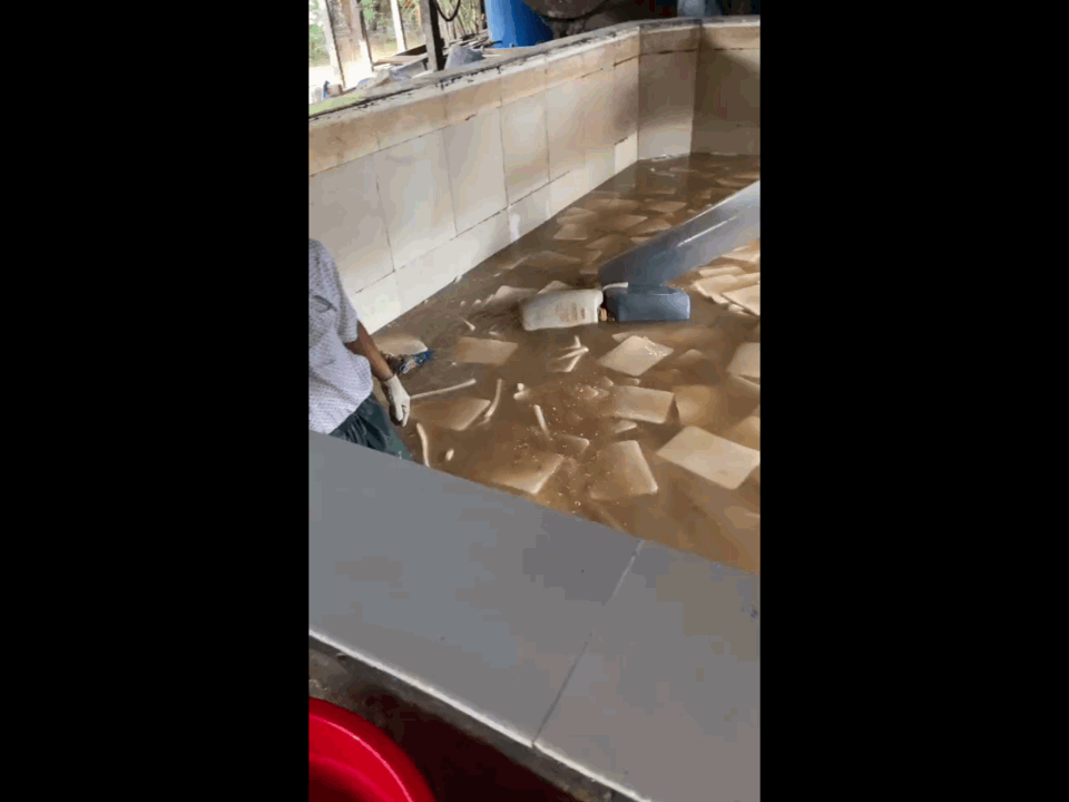 Tận mắt chứng kiến xưởng làm thạch dừa siêu bẩn: Thạch được ngâm trong bể nước đục ngầu, nhân viên thản nhiên nhổ nước bọt vào bể - Ảnh 3.