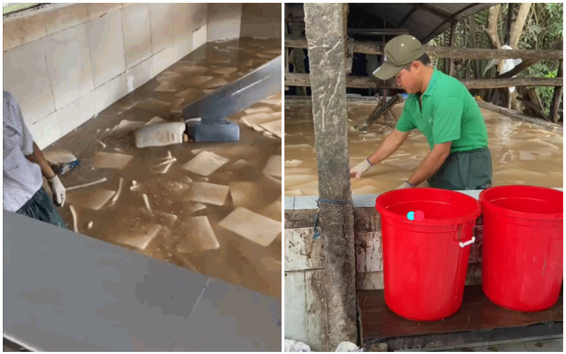Hãi hùng chứng kiến &quot;công nghệ&quot; làm thạch dừa siêu bẩn: Thạch được ngâm trong bể nước đục ngầu, nhân viên thản nhiên nhổ nước bọt vào bể