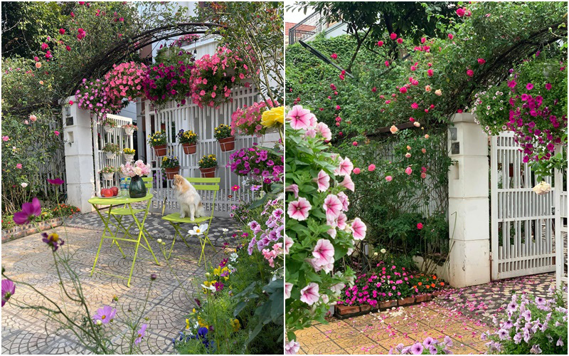 Ngôi nhà vườn bốn mùa phủ kín hoa rực rỡ của ông bố hai con ở Hà Nội
