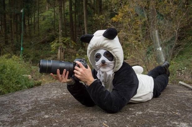 Bộ ảnh siêu hài của nữ phóng viên và nhân viên sở thú cải trang thành gấu trúc để "lừa" đàn gấu con, song bộ đồ họ mặc thì người lớn cũng hoảng hồn - Ảnh 3.