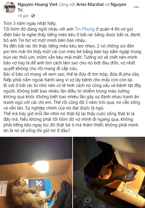 Chú mèo hoang thoi thóp giữa bãi rác sống sót thần kỳ nhờ lòng tốt của vợ chồng tốt bụng, hình ảnh hoàng thượng 3 năm sau khiến dân mạng "mắt chữ A miệng chữ O" - Ảnh 1.